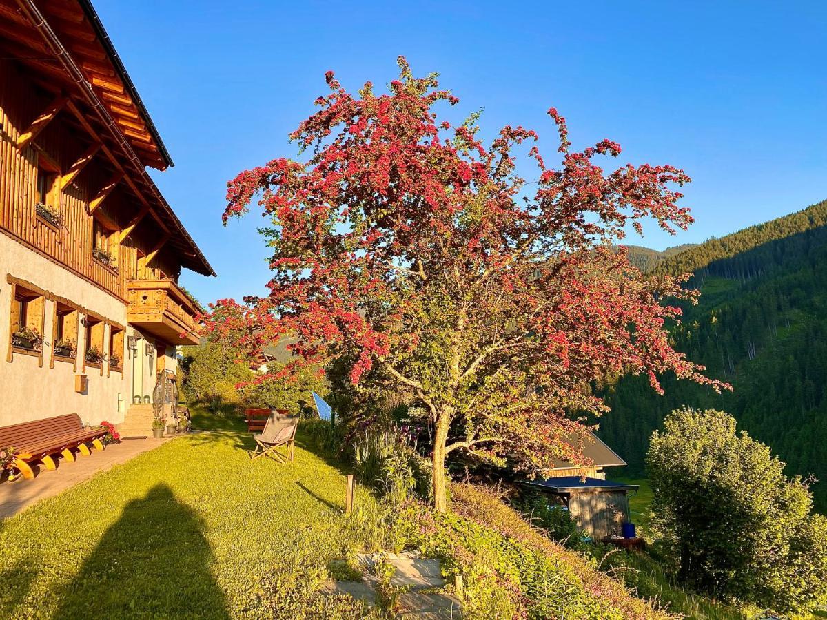 Alm Seasons Premium Chalet & Studios Зальбах-Гінтерглемм Екстер'єр фото