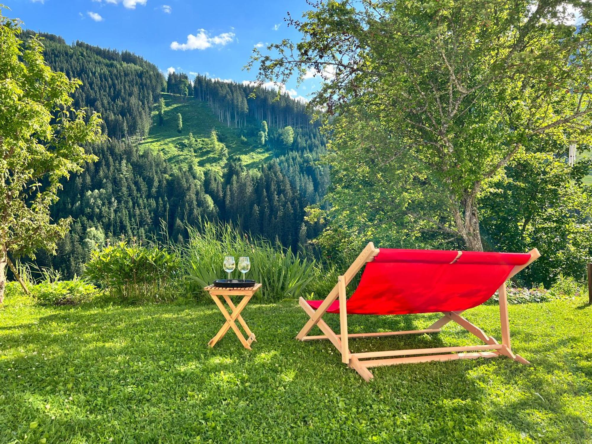 Alm Seasons Premium Chalet & Studios Зальбах-Гінтерглемм Екстер'єр фото