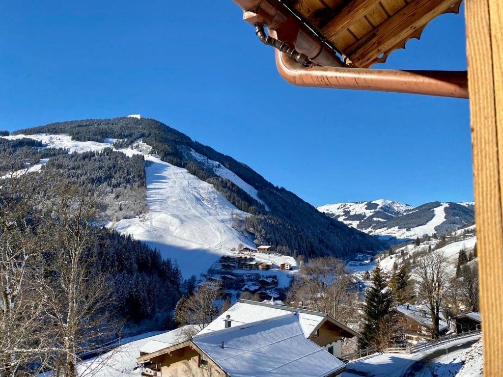 Alm Seasons Premium Chalet & Studios Зальбах-Гінтерглемм Екстер'єр фото