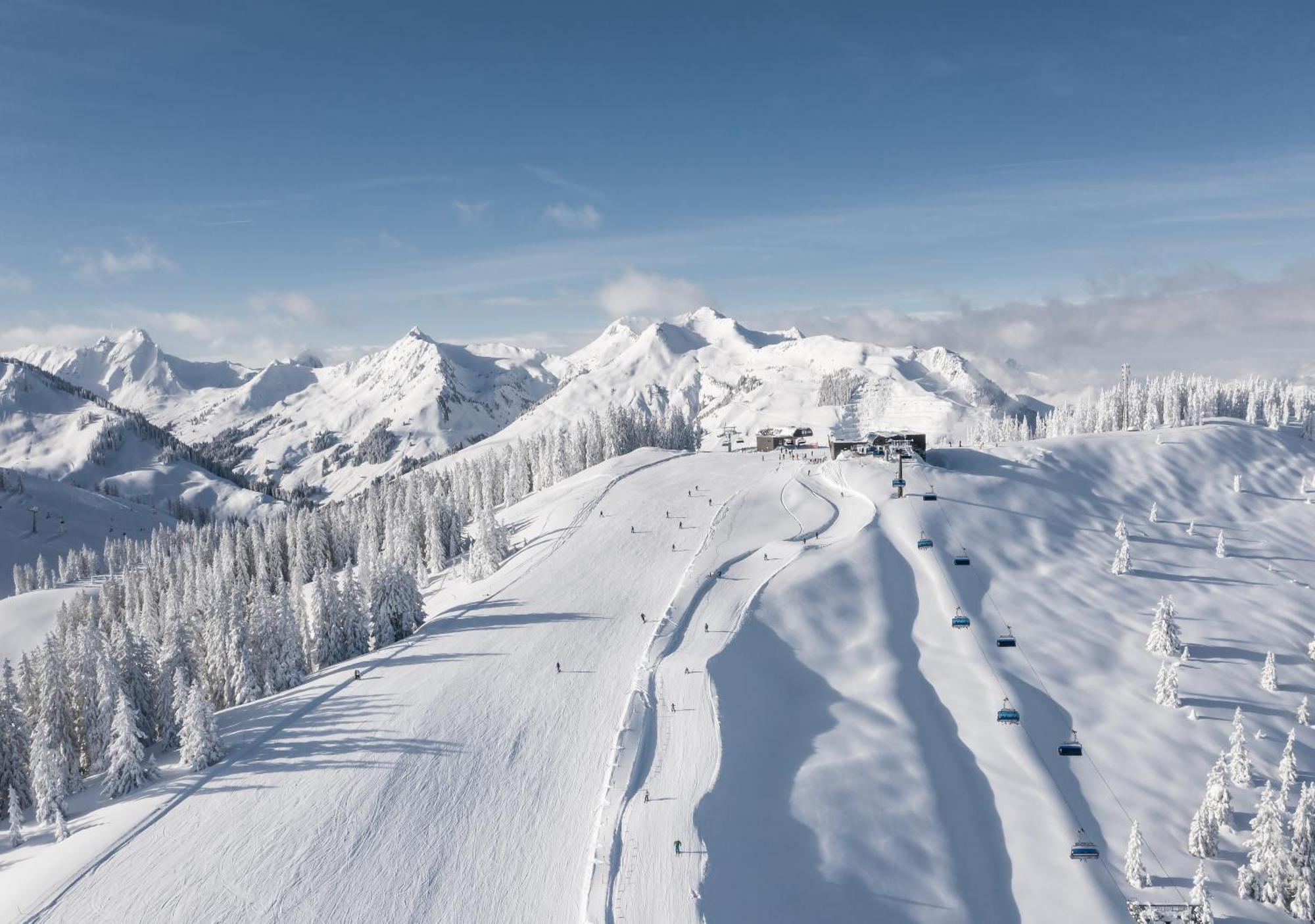 Alm Seasons Premium Chalet & Studios Зальбах-Гінтерглемм Екстер'єр фото