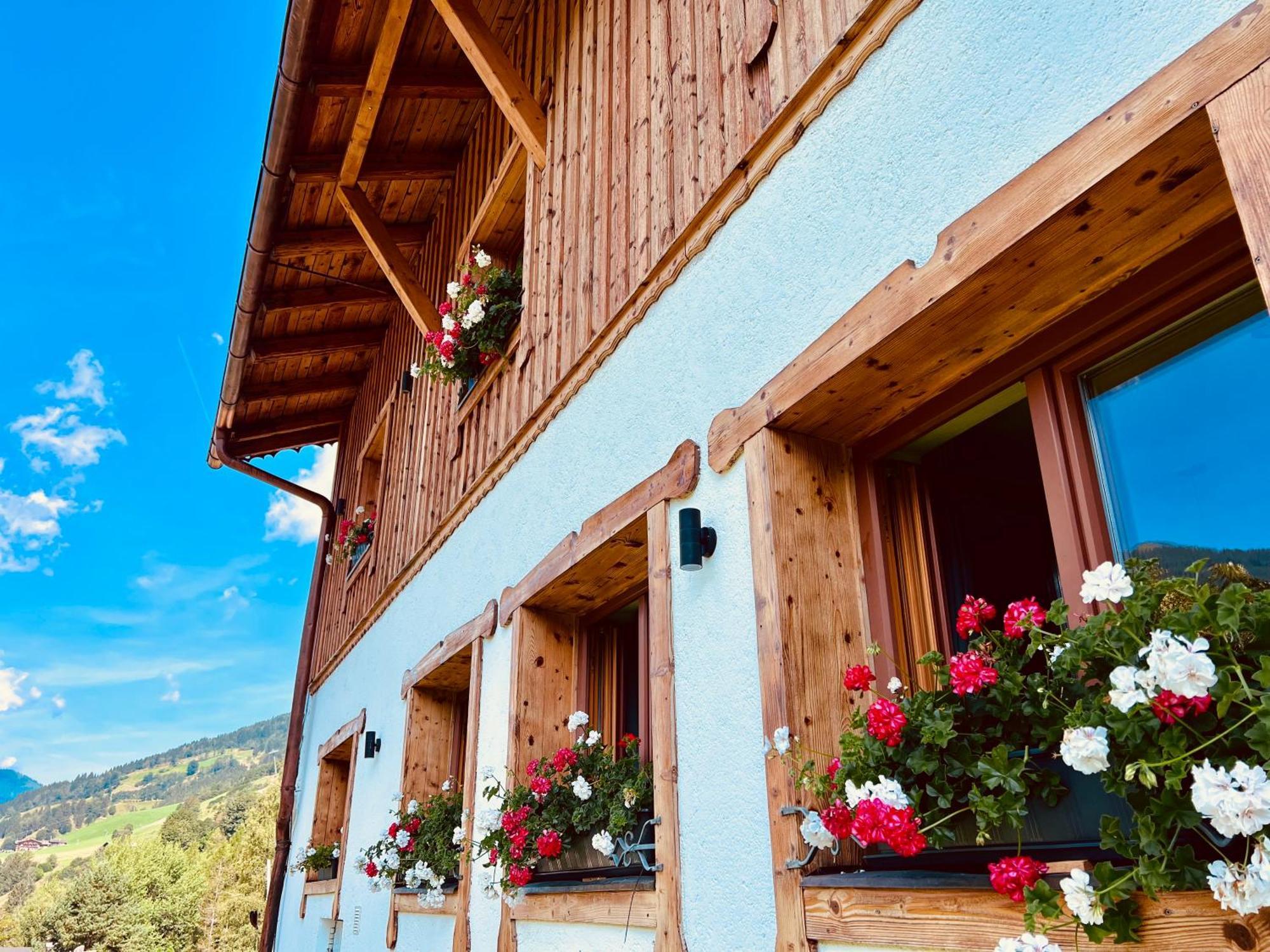 Alm Seasons Premium Chalet & Studios Зальбах-Гінтерглемм Екстер'єр фото